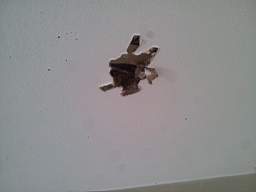 fkillineybeforeinternal 1025.jpg